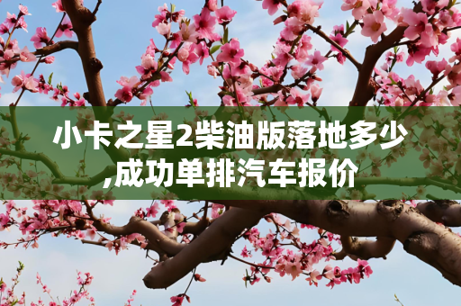 小卡之星2柴油版落地多少,成功单排汽车报价