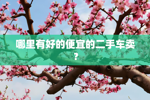 哪里有好的便宜的二手车卖？
