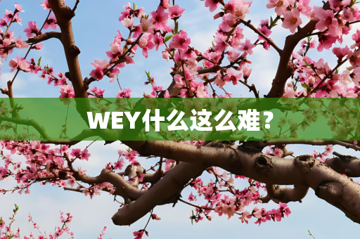 WEY什么这么难？