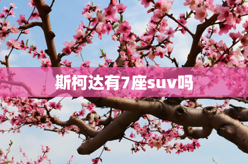 斯柯达有7座suv吗