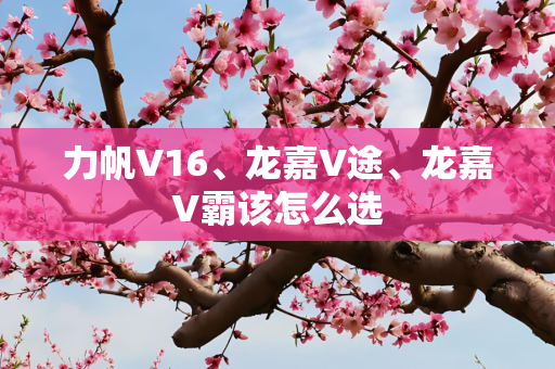 力帆V16、龙嘉V途、龙嘉V霸该怎么选