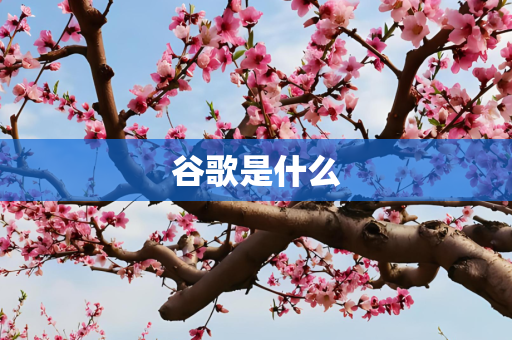 谷歌是什么
