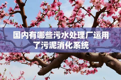 国内有哪些污水处理厂运用了污泥消化系统