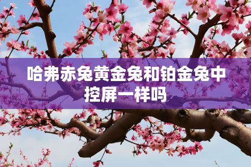 哈弗赤兔黄金兔和铂金兔中控屏一样吗