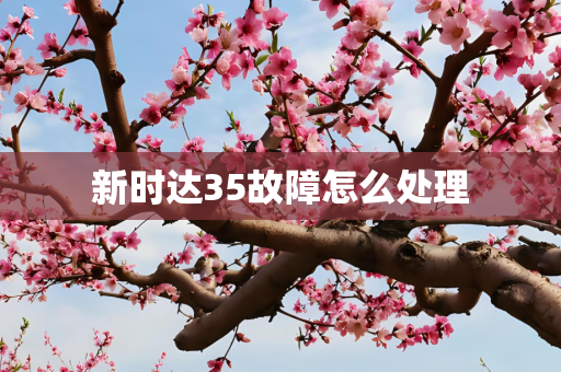 新时达35故障怎么处理