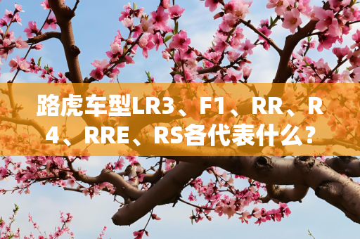 经济 第266页