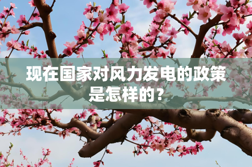 生活 第261页