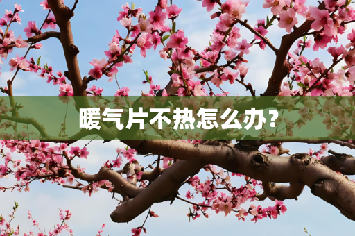 暖气片不热怎么办？