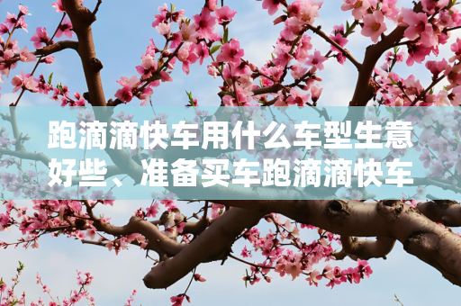 跑滴滴快车用什么车型生意好些、准备买车跑滴滴快车、就是不知道应该什么车型跑生意会好一点、买二手的
