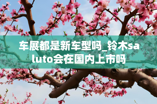 车展都是新车型吗_铃木saluto会在国内上市吗