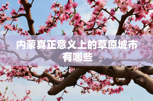 内蒙真正意义上的草原城市 有哪些