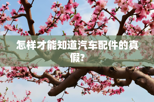 怎样才能知道汽车配件的真假?