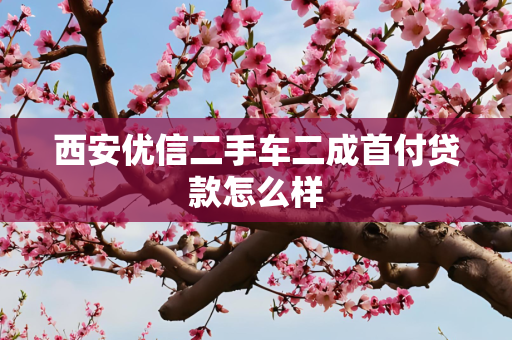 西安优信二手车二成首付贷款怎么样