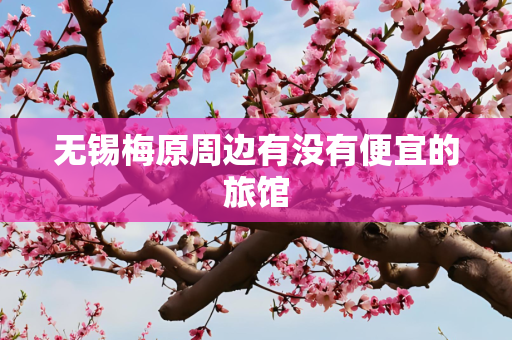 无锡梅原周边有没有便宜的旅馆