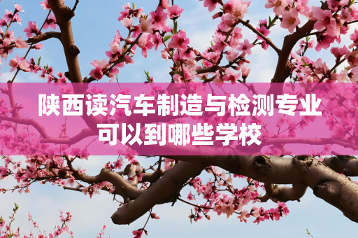 陕西读汽车制造与检测专业可以到哪些学校