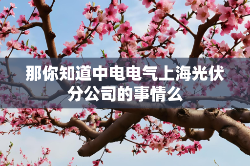 那你知道中电电气上海光伏分公司的事情么