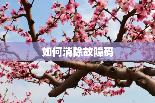 如何消除故障码