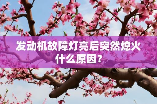 发动机故障灯亮后突然熄火什么原因？