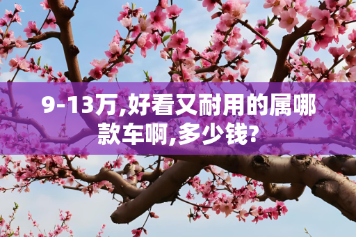 9-13万,好看又耐用的属哪款车啊,多少钱?