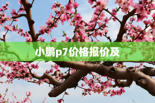 小鹏p7价格报价及