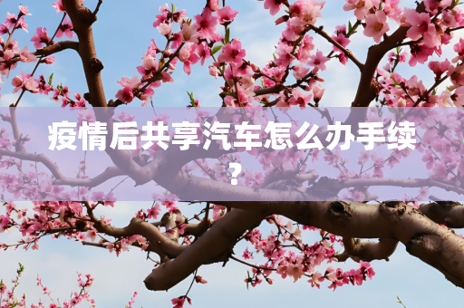 疫情后共享汽车怎么办手续？