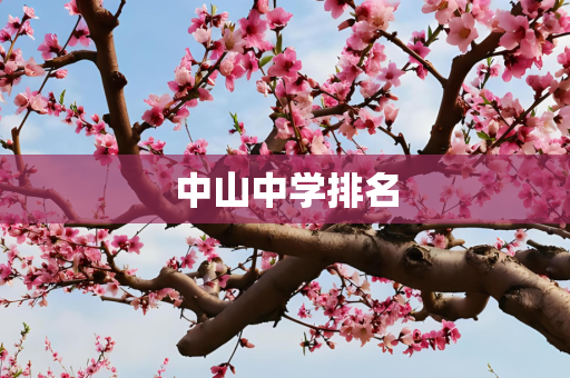中山中学排名