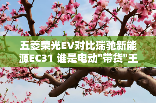 五菱荣光EV对比瑞驰新能源EC31 谁是电动