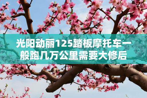 光阳动丽125踏板摩托车一般跑几万公里需要大修后