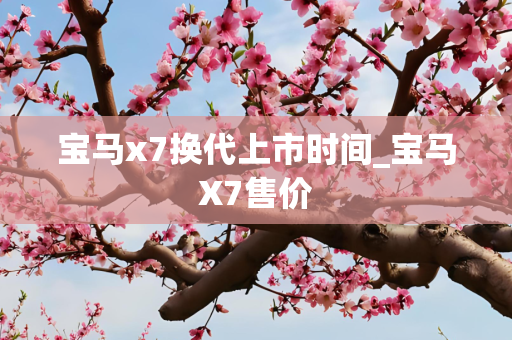宝马x7换代上市时间_宝马X7售价
