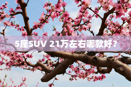 5座SUV 21万左右哪款好？