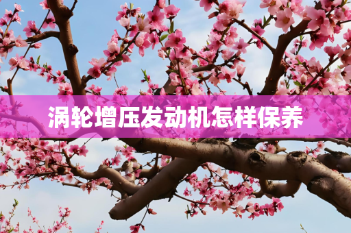 涡轮增压发动机怎样保养