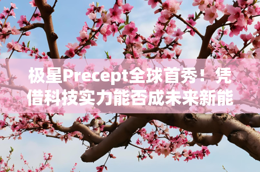 极星Precept全球首秀！凭借科技实力能否成未来新能源汽车引领者