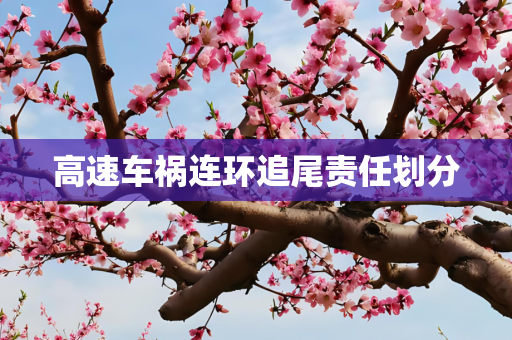 高速车祸连环追尾责任划分