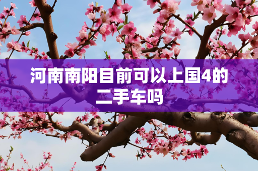 河南南阳目前可以上国4的二手车吗