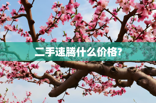 二手速腾什么价格?