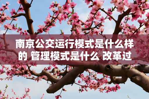 南京公交运行模式是什么样的 管理模式是什么 改革过后又是怎么样的情况