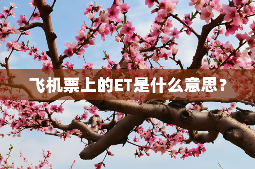 飞机票上的ET是什么意思？