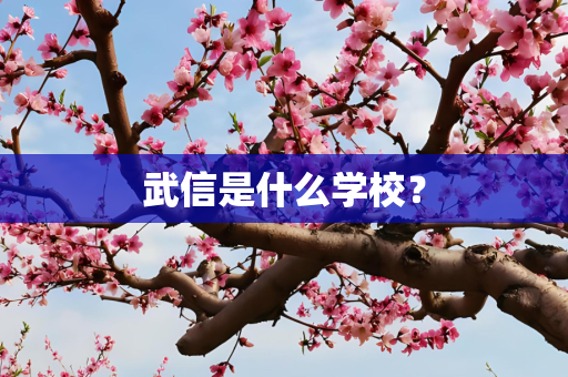 武信是什么学校？