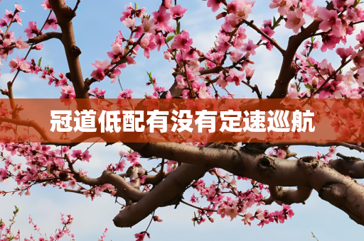 冠道低配有没有定速巡航