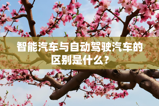 智能汽车与自动驾驶汽车的区别是什么？