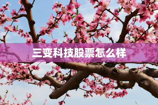 三变科技股票怎么样