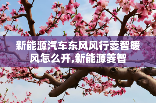 新能源汽车东风风行菱智暖风怎么开,新能源菱智