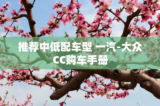 推荐中低配车型 一汽-大众CC购车手册