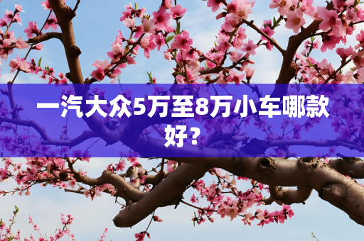 一汽大众5万至8万小车哪款好？