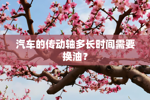 汽车的传动轴多长时间需要换油？