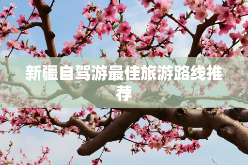 新疆自驾游最佳旅游路线推荐