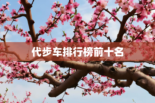 代步车排行榜前十名