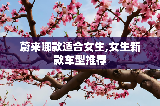 蔚来哪款适合女生,女生新款车型推荐