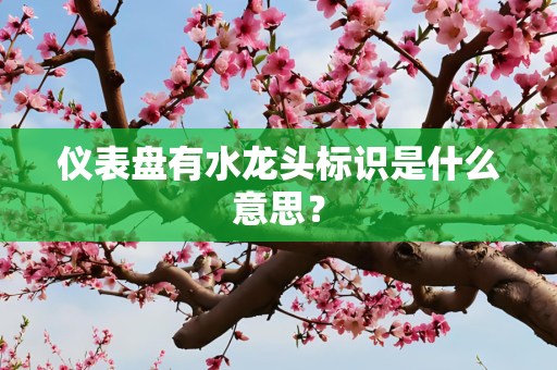 仪表盘有水龙头标识是什么意思？