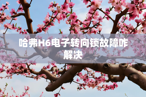 哈弗H6电子转向锁故障咋解决